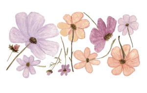 Wildflower Decals (two sizes) | Removable PhotoTex Wall Decals
