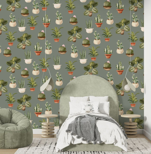 Pot Plant Delight | Removable PhotoTex Wallpaper